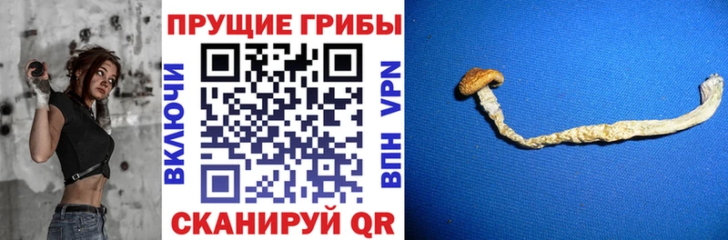 Галлюциногенные грибы Cubensis  цена наркотик  Уфа 